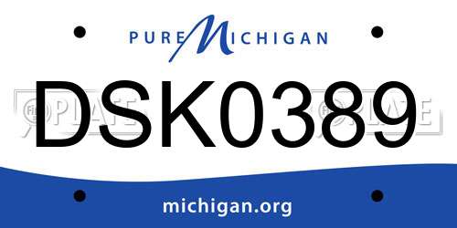 DSK0389 Michigan License Plate