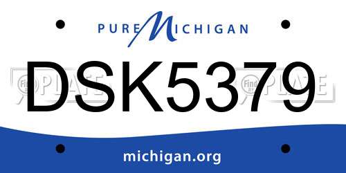 DSK5379 Michigan License Plate