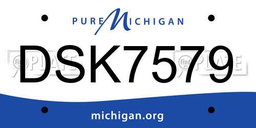 DSK7579 Michigan License Plate