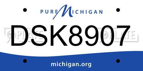 DSK8907 Michigan License Plate