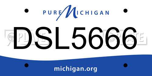 DSL5666 Michigan License Plate