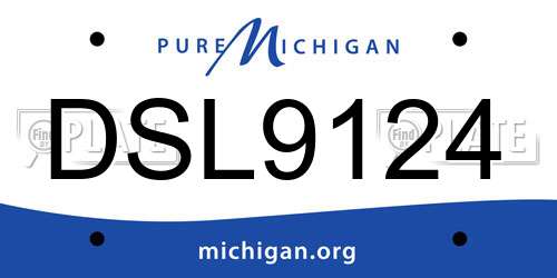 DSL9124 Michigan License Plate