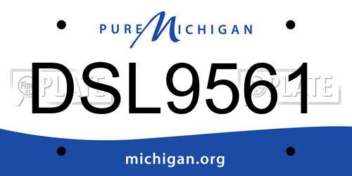 DSL9561 Michigan License Plate