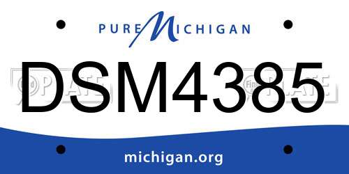 DSM4385 Michigan License Plate