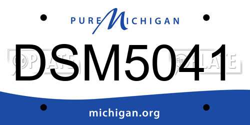 DSM5041 Michigan License Plate