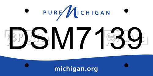 DSM7139 Michigan License Plate