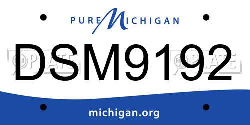 DSM9192 Michigan License Plate