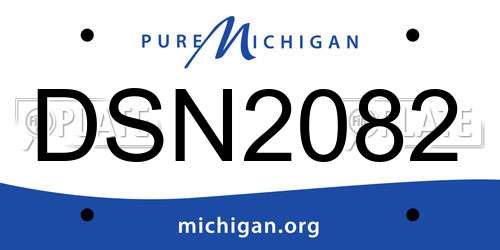DSN2082 Michigan License Plate