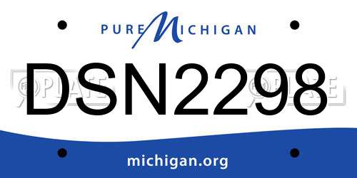 DSN2298 Michigan License Plate