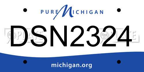 DSN2324 Michigan License Plate