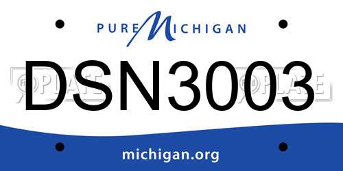 DSN3003 Michigan License Plate
