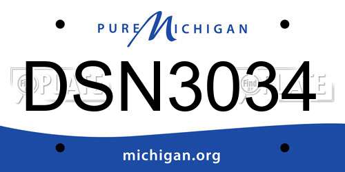 DSN3034 Michigan License Plate