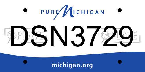 DSN3729 Michigan License Plate