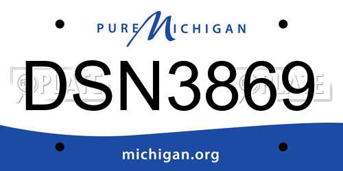 DSN3869 Michigan License Plate