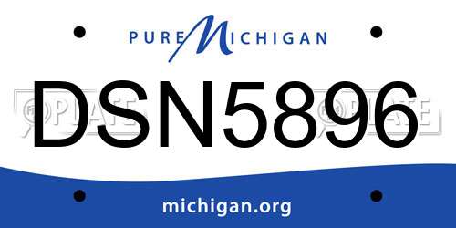 DSN5896 Michigan License Plate