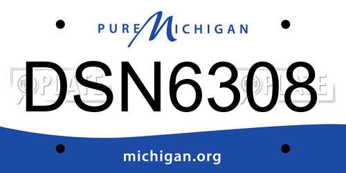 DSN6308 Michigan License Plate