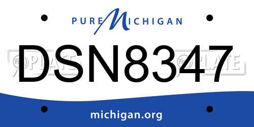 DSN8347 Michigan License Plate