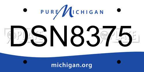 DSN8375 Michigan License Plate