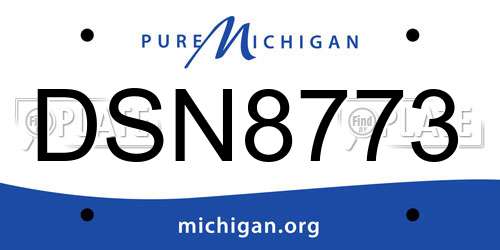 DSN8773 Michigan License Plate