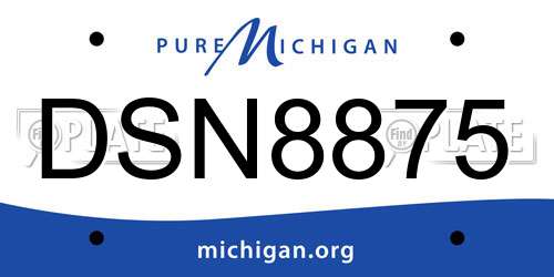 DSN8875 Michigan License Plate