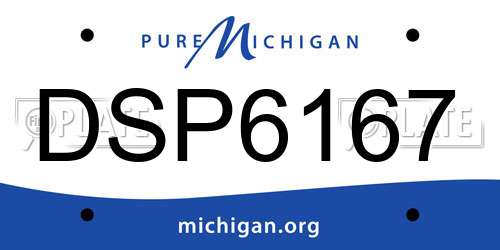 DSP6167 Michigan License Plate