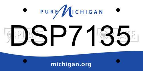 DSP7135 Michigan License Plate