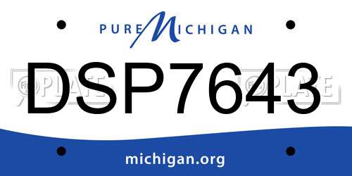 DSP7643 Michigan License Plate