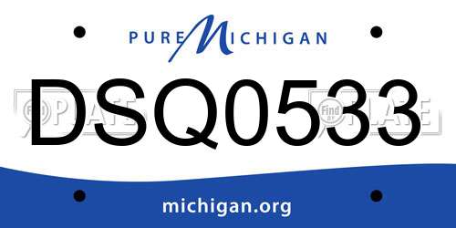 DSQ0533 Michigan License Plate