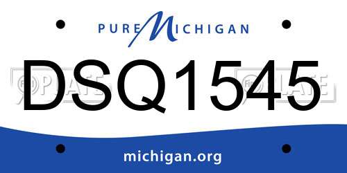 DSQ1545 Michigan License Plate