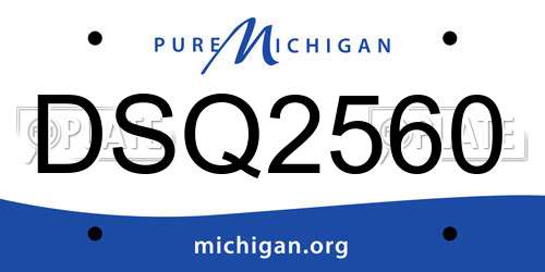 DSQ2560 Michigan License Plate