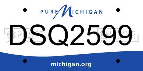 DSQ2599 Michigan License Plate