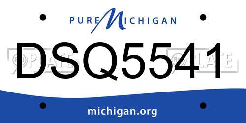 DSQ5541 Michigan License Plate