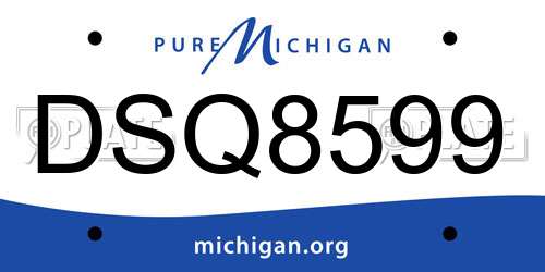 DSQ8599 Michigan License Plate