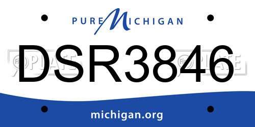 DSR3846 Michigan License Plate