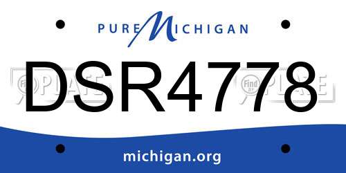 DSR4778 Michigan License Plate