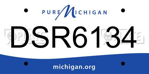 DSR6134 Michigan License Plate