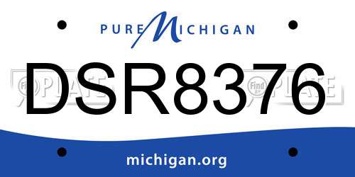 DSR8376 Michigan License Plate