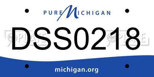 DSS0218 Michigan License Plate