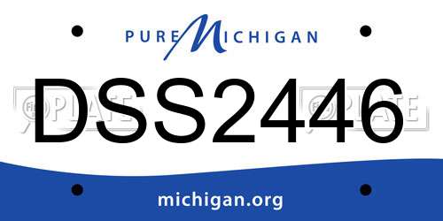 DSS2446 Michigan License Plate