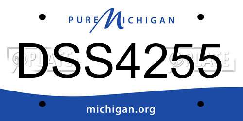 DSS4255 Michigan License Plate