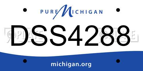 DSS4288 Michigan License Plate
