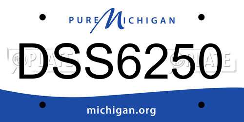 DSS6250 Michigan License Plate