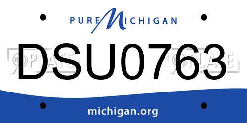 DSU0763 Michigan License Plate