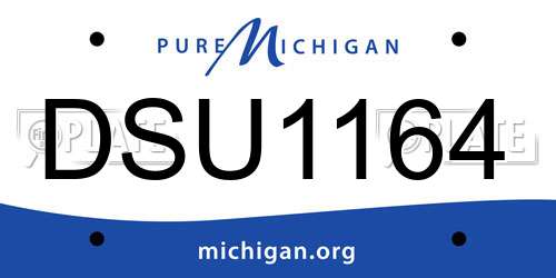 DSU1164 Michigan License Plate