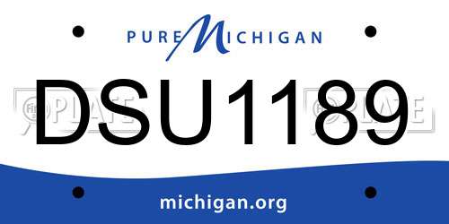 DSU1189 Michigan License Plate