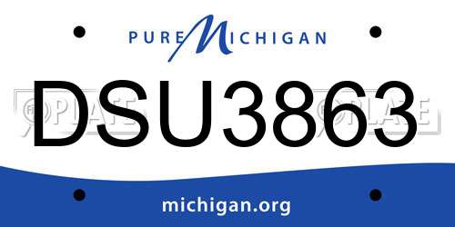 DSU3863 Michigan License Plate