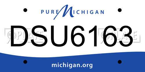 DSU6163 Michigan License Plate