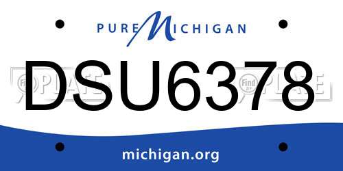 DSU6378 Michigan License Plate