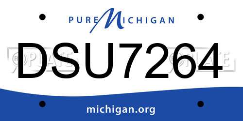 DSU7264 Michigan License Plate