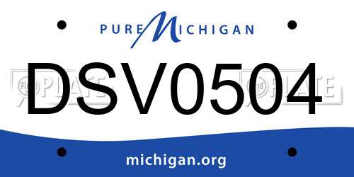 DSV0504 Michigan License Plate